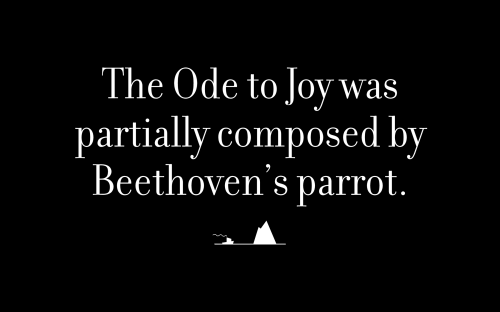 The Ode to Joy was partially composed by Beethoven’s parrot.