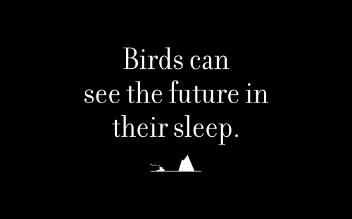 Birds can see the future in their sleep.