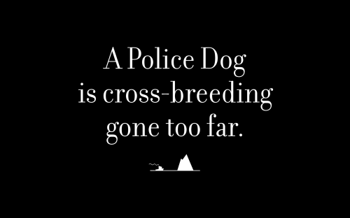 A Police Dog is cross-breeding gone too far.