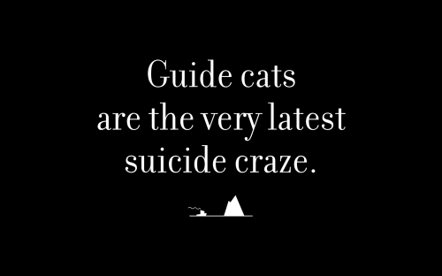 Guide cats are the very latest suicide craze.